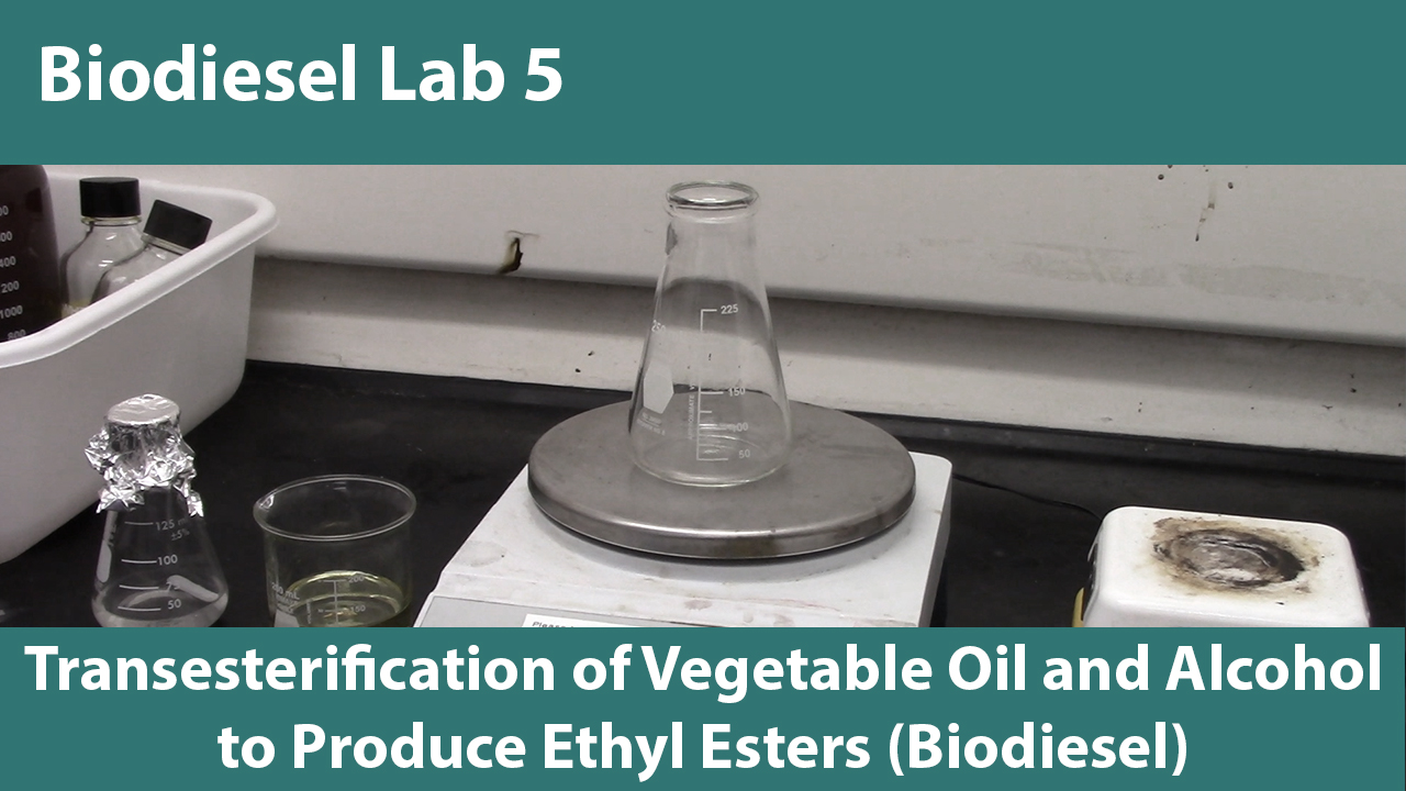 Lab 5: Transesterification of Vegetable Oil and Alcohol to Produce Ethyl Esters (Biodiesel)